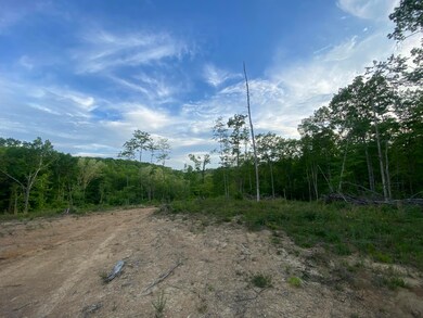 420 Mounce Rd, Somerset, KY 42501 - photo 3