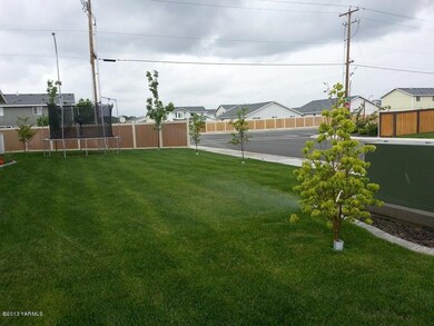 back yard