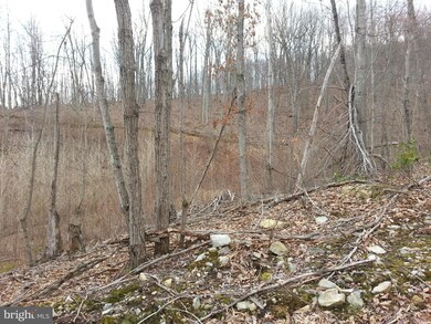 0 Lucas Hollow Rd unit 1002412948, Stanley, VA 22851 - photo 7