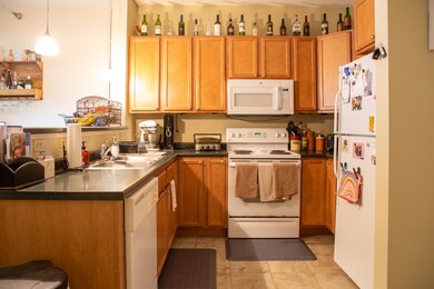 370 Farrell St unit 207, South Burlington, VT 05403 - photo 4