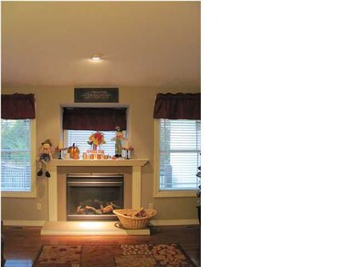 FIREPLACE IN LIVING ROOM