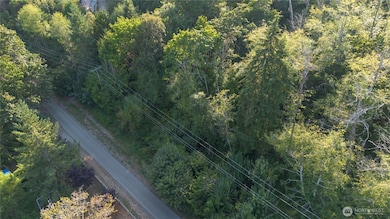 3628 Creek View Ct SE, Parkwood, WA 98366 - photo 5