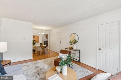 4324 2nd Rd N unit 43242, Arlington, VA 22203 - photo 3