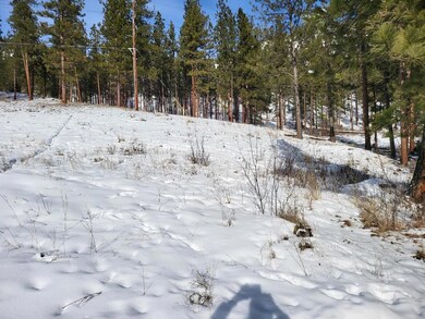 120 Railroad Ave, Alberton, MT 59820 - photo 6