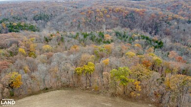 0000 Polston Ln, Hickory Grove Township, MO 63357 - photo 5