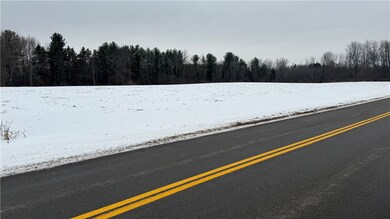 0 0 Knowlesville Rd, Alabama, NY 14125 - photo 3