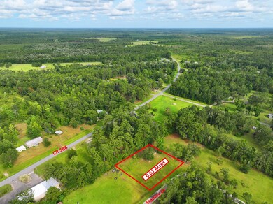 TBD Stanley Dr, Wewahitchka, FL 32465 - photo 7