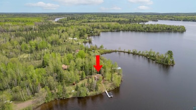 Bird's eye view of a heavily wooded area and a nearby body of water