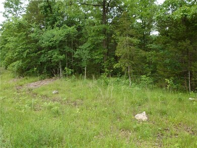 0 Ria Ln unit 1146997, Eureka Springs, AR 72631 - photo 3