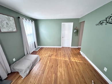 490 S Alfred Ave, Elgin, IL 60123 - photo 3