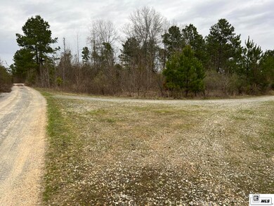 0 Mcdaniel Rd unit 209050, Downsville, LA 71234 - photo 2