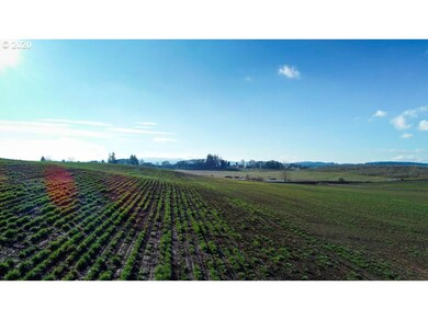 0 Highway 223 (Parcel, Dallas, OR 97338 - photo 4