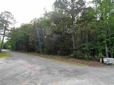 0 Stoney Point Rd, Heber Springs, AR 72543 - photo 5