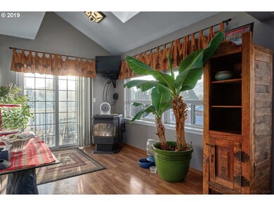 Fireplace Pellet Stove
