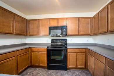 6 - Desert Holly ST