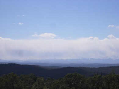 33090 Tall Timber Trace, Trinidad, CO 81082 - photo 7