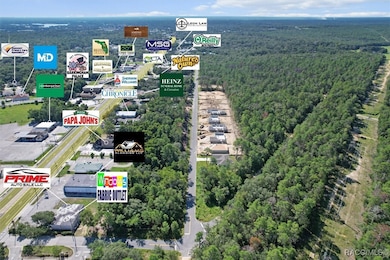 2529 Clearwood St, Inverness, FL 34452 - photo 3