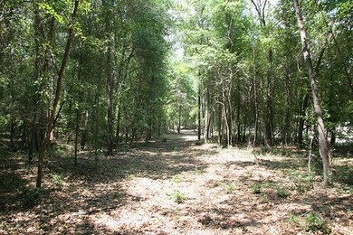 Springhill H_05