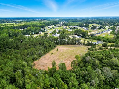 TBD Highway 548, Conway, SC 29527 - photo 6