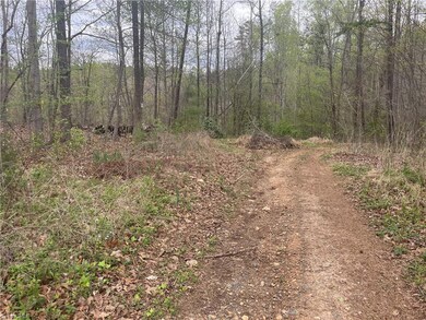 0 Briles Dr, Asheboro, NC 27205 - photo 4