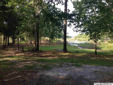 301 Brown Ave, Rainbow City, AL 35906 - photo 2