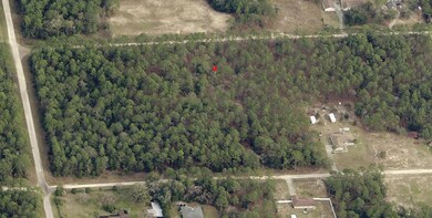 00 SW 137th Ct, Ocala, FL 34481 - photo 4