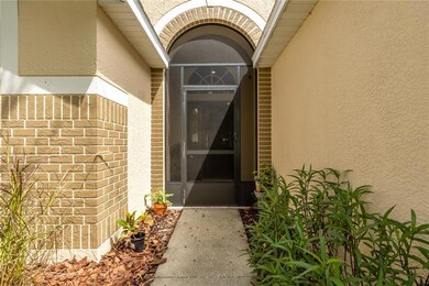 34441 Blue Ash Ct, Wesley Chapel, FL 33545 - photo 3