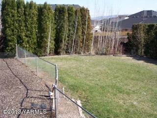 back yard