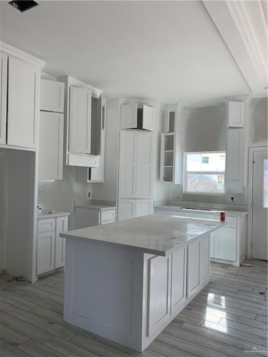 821 Whitewing St, Alamo, TX 78516 - photo 2