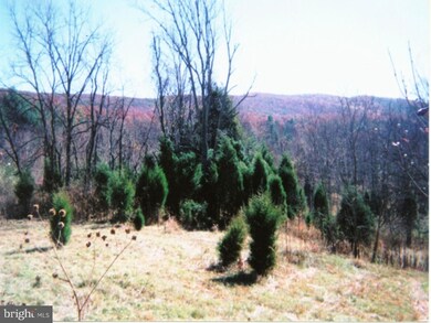 0 Pawnee unit 1000406563, Front Royal, VA 22630 - photo 3