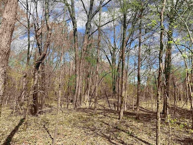 3845 Mebane Rd, Oakland, TN 38060 - photo 6