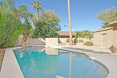Backyard 1