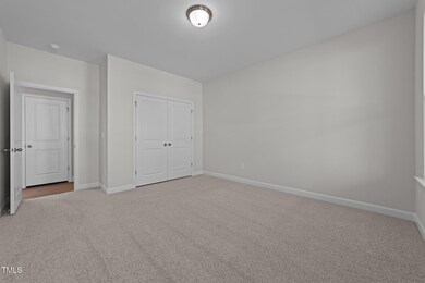 8-web-or-mls-3D5A1010