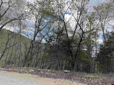 580-00005-016 Dovewood Ln, Flippin, AR 72634 - photo 4