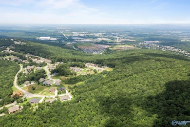 35.5 Acres Hawks Way NE, Huntsville, AL 35811 - photo 2