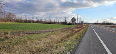 State Route 96a, Romulus, NY 14541 - photo 3