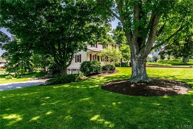 Mature trees and landscaping