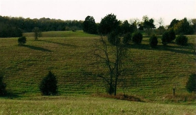 620 Parsons Ln, Harrodsburg, KY 40330 - photo 6