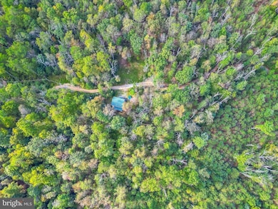 579 Mossy Oak Ln, Mifflinburg, PA 17844 - photo 5