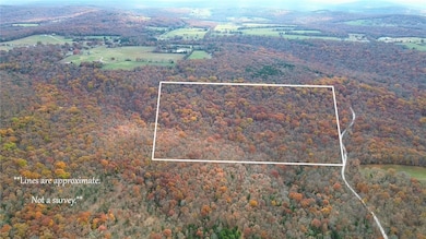 30.47 Acres Onda Mountain (Wc 213), West Fork, AR 72774 - photo 2