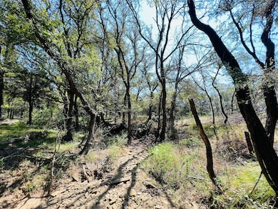 Tbd Interstate 20, Santo, TX 76472 - photo 7