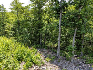 0 Carsaig Cir unit 1247601, Bella Vista, AR 72715 - photo 5