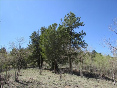 33 Crater Lake Way, Hartsel, CO 80449 - photo 7