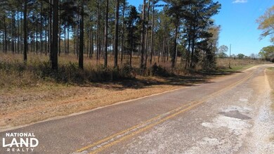 0 County Road 18 unit 15525411, Headland, AL 36345 - photo 2