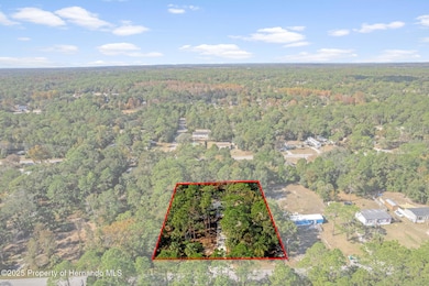 3434 S Aberdeen Terrace, Homosassa Springs, FL 34448 - photo 2