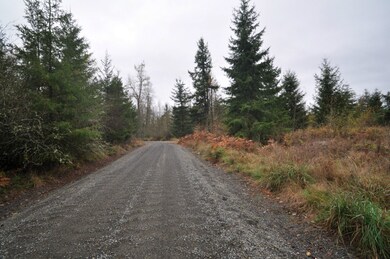 8 Thimbleberry Ln SE, Yelm, WA 98597 - photo 5