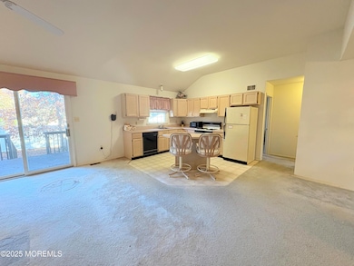 159 Bluejacket Ave, Manahawkin, NJ 08050 - photo 3