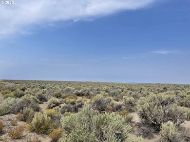 0 Off Rolfs Point Rd unit TL 4401 239674443, Christmas Valley, OR 97641 - photo 4