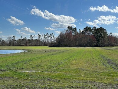 904 Hickory Nut Rd, Nicholls, GA 31554 - photo 7