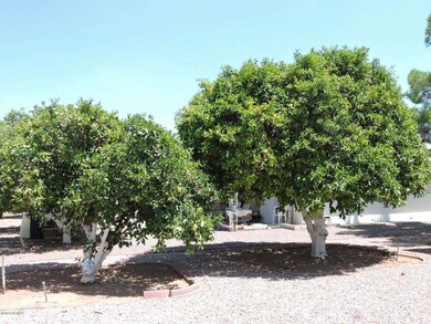 CITRUS